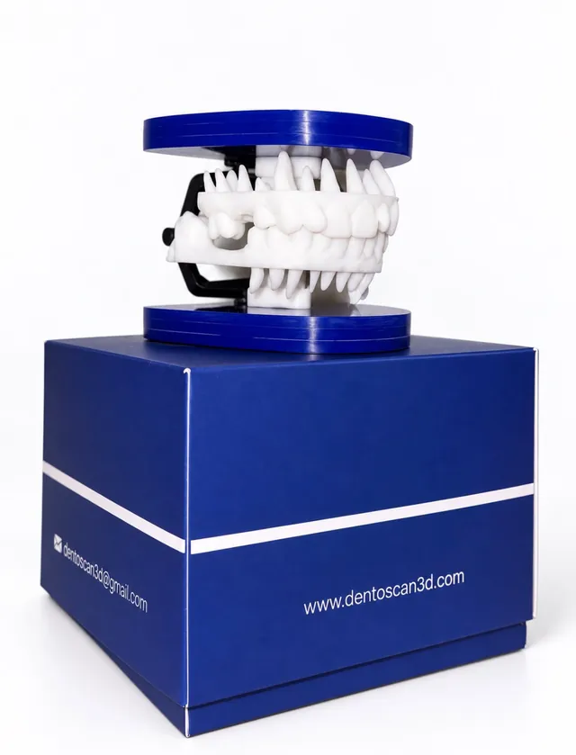 Modelo anatómico 4D montado en su articulador sobre la caja de Dento Scan 3D