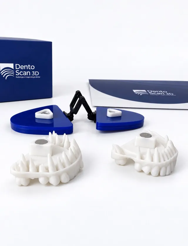 Arcadas del modelo 4D con raíces y su articulador